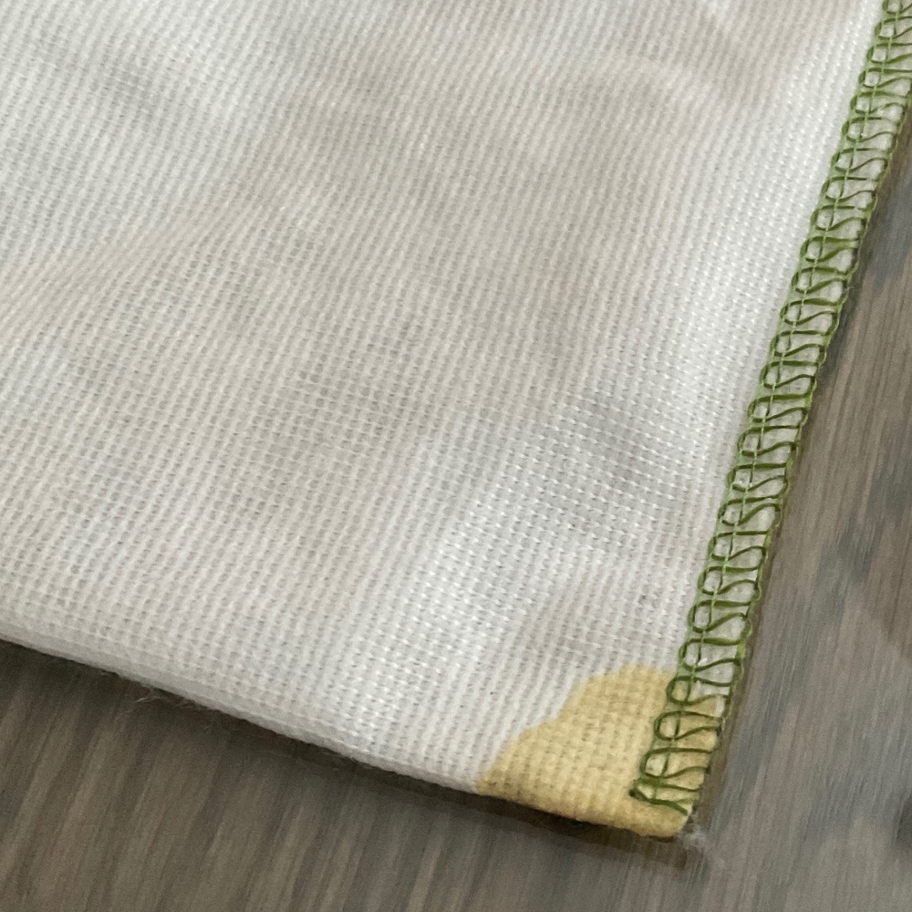 LONGCHAMP DUST BAG.   25” W X 19” H.  White & Green. - Picture 5 of 5
